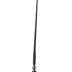 Antenne autoradio fouet